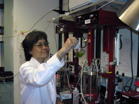 Image related to Hydrogen Production: Photobiological