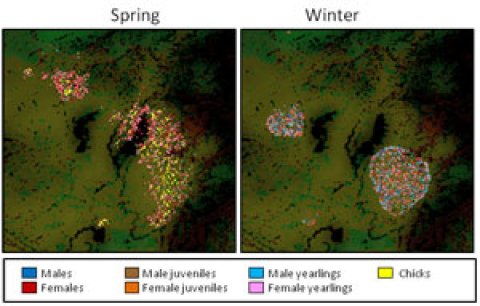 Image related to New Model Examines Cumulative Impacts of Wind Energy Development on Sensitive Species