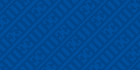 Indian Energy blue banner.