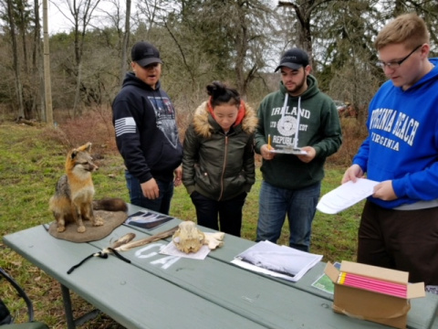 A team of high school students takes a practical exam at a wildlife station during last week’s Cattaraugus County Envirothon.