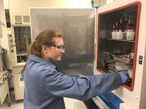 Dr. Joelle Reiser of Pacific Northwest National Laboratory checks the status of experiments focused on the durability of glass waste.
