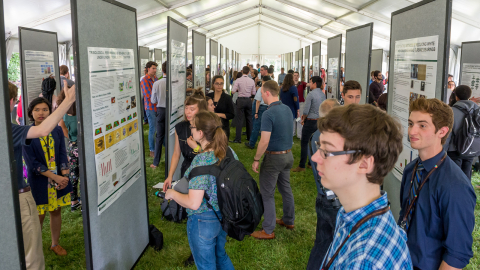 Argonne summer interns showcased their work at the end of the year Learning on the Lawn: Student Poster Symposium.