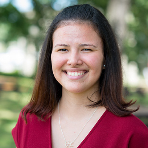 During her internship, Betmarie Matos Vazquez looked at nanostructures and etching processes to improve X-ray optics and X-ray astronomy. She hopes more students will discover the opportunities that national lab internships provide.