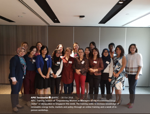 APEC Training Session of "Empowering Women as Managers of the #RenewableEnergy Sector" sought to increase knowledge of renewable energy techs, markets and policy.