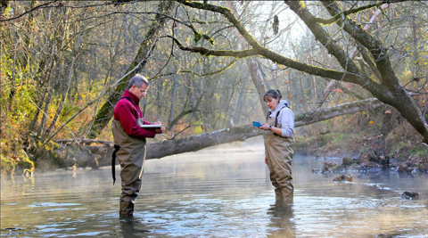 Oak Ridge National Laboratory scientists gather sampling data from the East Fork Poplar Creek.