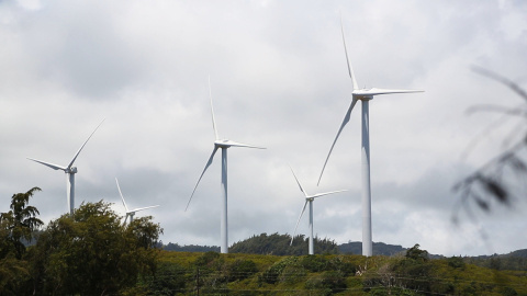Wind turbines in the forest.