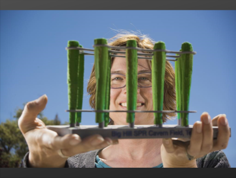 Anna Lord is a Principal-Level Applied Geologist in the Geotechnology and Engineering Department at Sandia National Laboratories in Albuquerque, NM