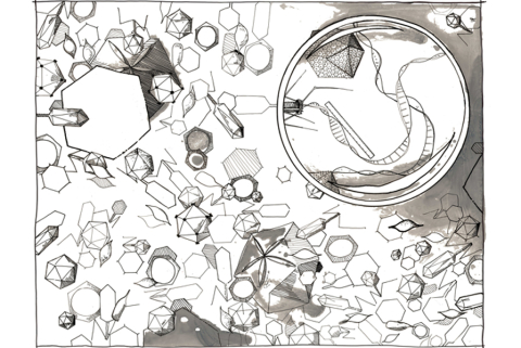 Artist rendering of genome standards being applied to deciphering the extensive diversity of viruses.