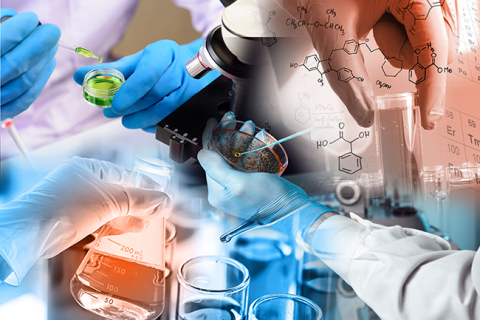 Together, microbiologists, computational biologists, electrochemists, inorganic chemists, biochemists, theorists, and bio-engineers learn how electron bifurcation works.