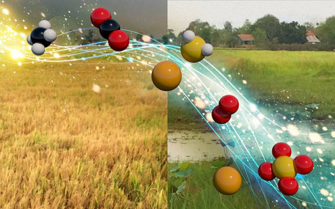 Carbon and energy balances may prove to be a simplified way to predict microbial functions in soils that are often flooded and how such functions effect climate, soil health, and crop productivity.