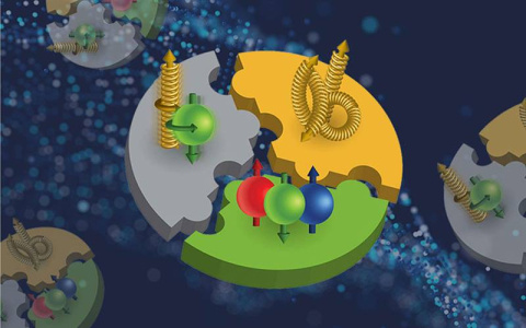 The latest data from the Relativistic Heavy Ion Collider reveal that the quark spin contribution (green puzzle piece)—specifically the contribution from a “sea” of antiquarks—is more complex than previously thought.