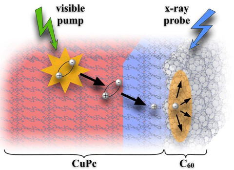 Visible-pump / X-ray probe photoelectron spectroscopy monitors exciton migration and charge generation in a molecular heterojunction between a copper-phthalocyanine (CuPc) donor and a fullerene-based (C60) acceptor. 