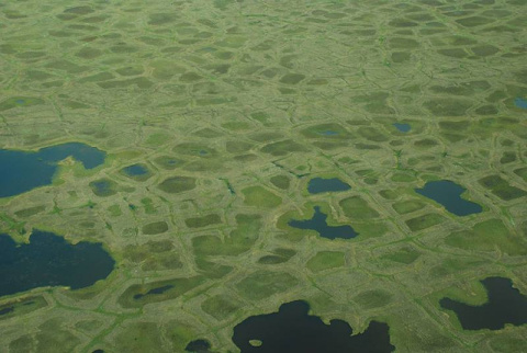 Productivity of vegetation is linked to spatial position across the tundra landscape.
