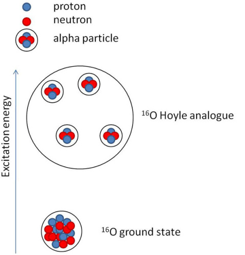 Pictorial representation of the ground state of oxygen-16 (16O) and the Hoyle-like state.