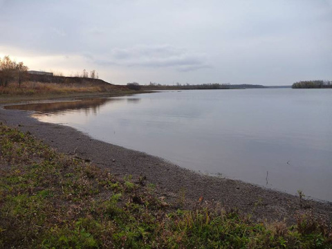 In freshwater wetlands of the Great Lakes region, mercury accumulation in plants poses a significant human health concern. In a 2018 study, researchers showed the influence of wetland vegetation in regulating mercury toxicity in a Great Lakes estuary.
