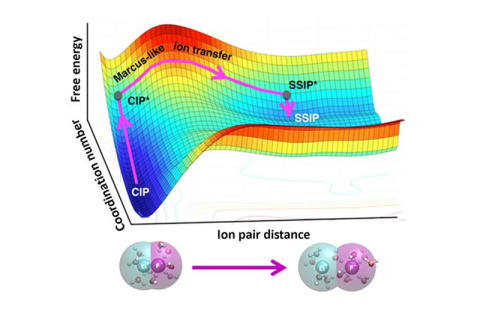The separation of lithium fluoride (Li and F) ion pairs involves two stages: (1) an increase of the water coordination about the contact ion pairs, CIP to CIP* and (2) spatial separation of the CIP* to solvent-separated ion pairs, SSIP*. 