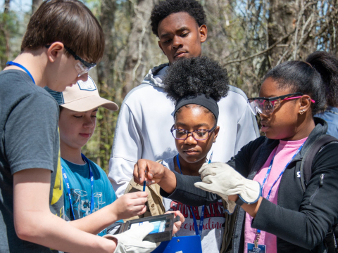 Students from South Aiken High School participate in the Science Technology Enrichment Program at the Savannah River Site, netting small aquatic creatures and testing pond water to learn more about freshwater ecosystems.