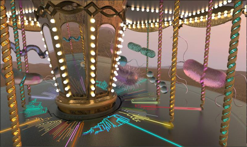 Microbial Merry-Go-Round.  In this metaphorical carousel, the velocity of each bacterial cell indicates its relative growth rate. New data indicate that this metaphor applies over a range of ecosystems, from high desert grassland to subalpine prairie.