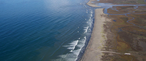 Tijuana River National Estuarine Research Reserve coastline. 