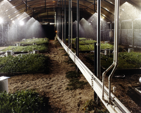 Soil study at DOE's Argonne National Lab