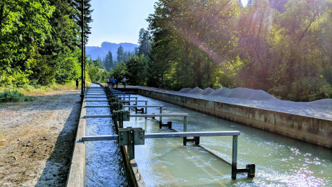 Irrigation canal in Hood River, Oregon.
