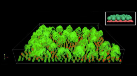 Researchers discovered that iron-oxide nanocrystals (red) and metal-organic frameworks (green) self-assemble into an unusual configuration that resembles a Chinese pastry. The inset (upper right) mimics the transmission electron microscopy image.
