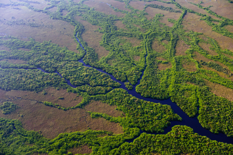 Everglades National Park