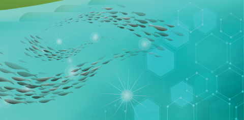Graphic with fishes swimming in the ocean.
