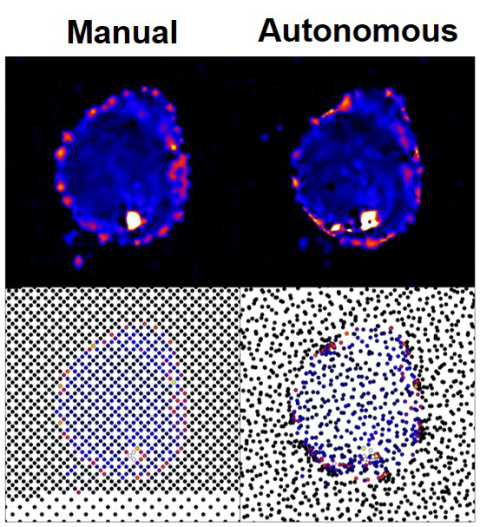 Compared to conventional manual grid measurement (left), the autonomous measurement method (right) produces a more accurate reconstruction of the sample’s shape (top row) by intelligently positioning measurements near features of interest (bottom row).