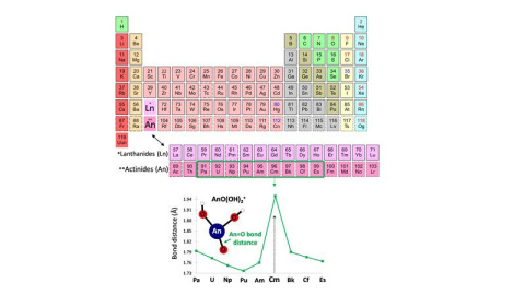 The actinide elements protactinium (Pa) through einsteinium (Es) were studied (actinides are the bottom row below the main body of the periodic table).Bottom figure shows the computed bond distance between the actinide element (An) & bishydroxide oxygen 