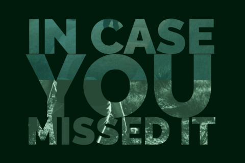 In case you missed it blog