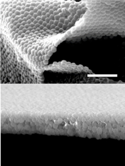 Scientists created ultrathin porous materials by growing a “corona”-like polymer layer on porous metal-organic framework nanoparticles. Films one particle thick (top) self-assembled into multiple layers that were formed from these nanoparticles.