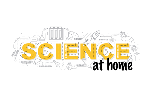 Brookhaven National Lab STEM at Home Brookhaven National Lab STEM at Home