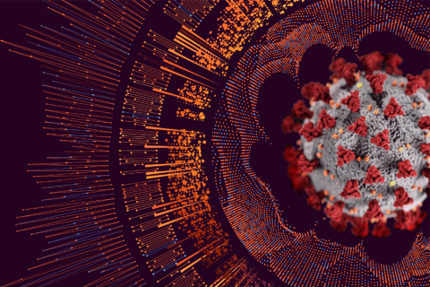 Image of COVID-19 An image of the COVID-19 virus. An image of the COVID-19 virus.
