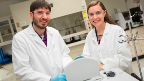 Fossil Energy Researchers