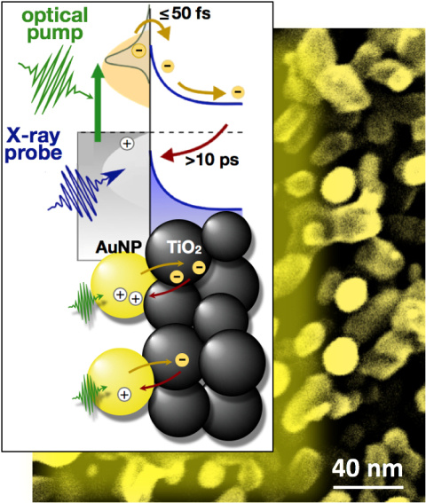 Optical laser pulses excite electrons in gold nanoparticles (AuNP) attached to a titanium dioxide (TiO2) substrate. Short X-ray pulses count the electrons injected from the nanoparticles into the substrate and monitor their return to the nanoparticles.