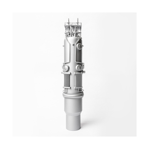 NuScale Power Module