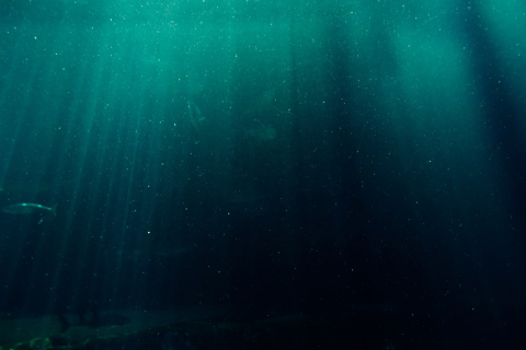 Blur of blue and water.