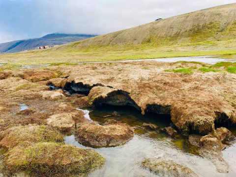 A new study of permafrost thawing in Svalbard, Norway, suggests substantial, sustained release of carbon dioxide when these soils decompose.