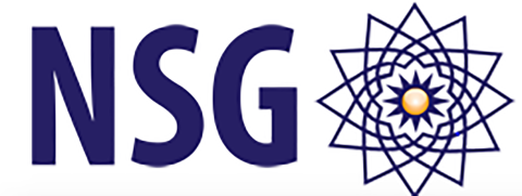 Nuclear Suppliers Group logo