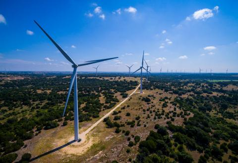 Wind turbines against the horizon.