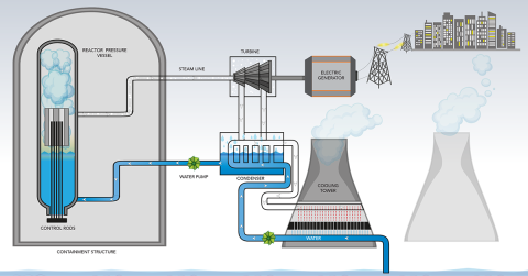 Pressurized light water reactor