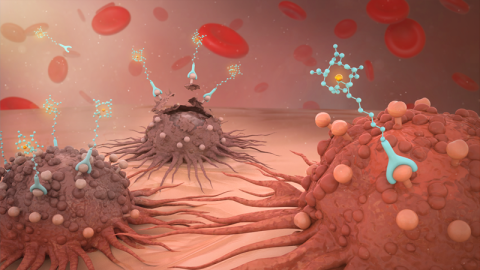 The DOE Isotope Program supports the production of radioisotopes in short supply for research and applications. They can be used in radiopharmaceuticals (pictured here) that are specifically engineered to seek out and/or destroy cancer. 