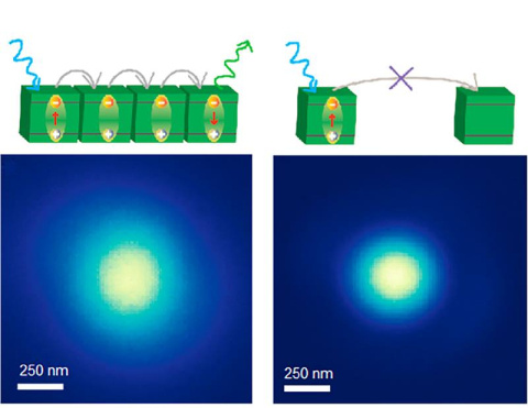 By coating a substrate with chemicals that perovskite nanocrystals attach to, researchers formed a layer of tightly packed nanocrystals. This system had a record exciton diffusion length, measured by directly visualizing diffusion with a custom microscope.