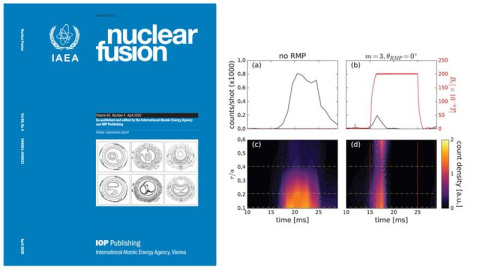 Computational modeling of chaos in magnetic field lines explains measurements showing that runaway electrons can be suppressed in a tokamak fusion plasma when operators apply a magnetic field perturbation.