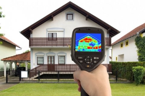 Thermographic scan