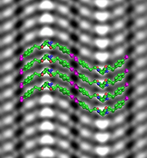 Cryogenic imaging combined with machine learning allowed scientists to derive the chemical structure of short peptoid polymers (green) from micrographs (grayscale image) and observe bromine atoms on the side chains (magenta).