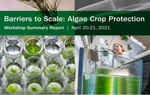 The front cover of the Algae Crop Protection Workshop Summary Report