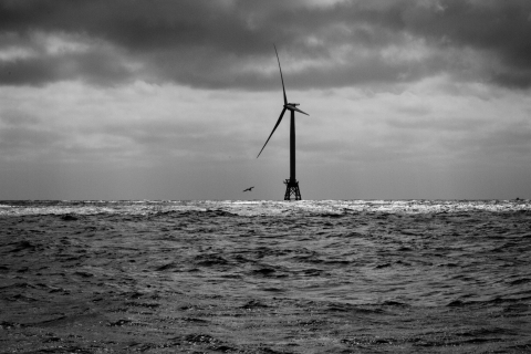 The Energy Department supports development of methodologies and evaluation of offshore wind impacts on wildlife in U.S. Atlantic waters.