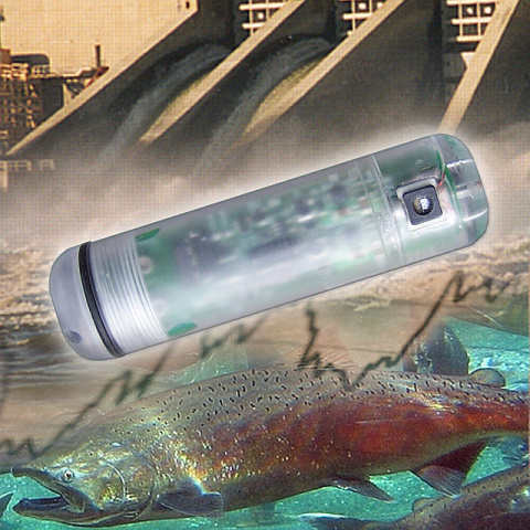 Environmental evaluation tool.